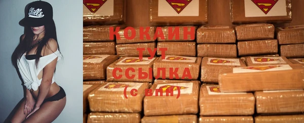 бошки Алзамай