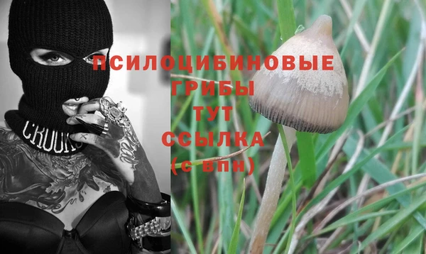дмт Аркадак