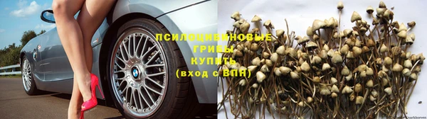винт Алексеевка